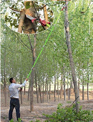 Best telescopic tree pruner - Best of Review Geeks