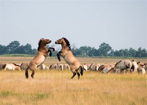 I 13 luoghi più belli da visitare in Ungheria