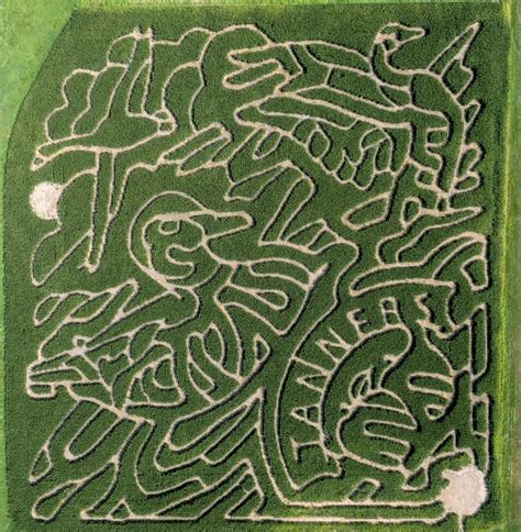 Tanners Orchard Maze Design 2023