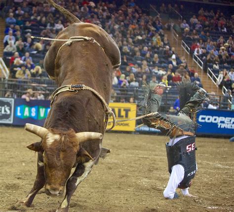 Thoughts From My Camera: Professional Bull Riding at MSG - Buckoff