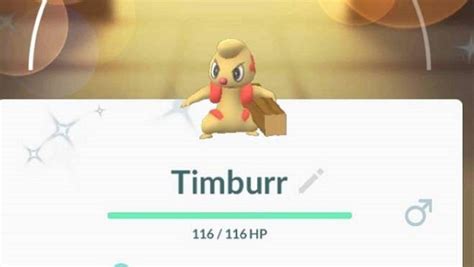 Can Timburr be shiny in Pokemon GO? (December 2022)