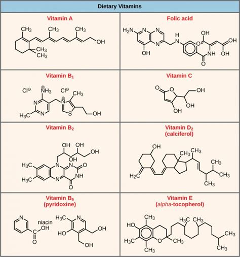 Enzyme Regulation | Cell Metabolism