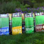 Scotts 4-Step Lawn Care Fertilizer Program - Thomas Landscaping