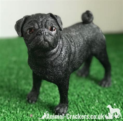 Black standing Pug ornament quality realistic figurine Leonardo range ...