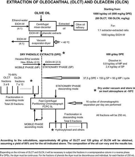 Proposal of extraction of oleocanthal and oleacein from olive oil in ...