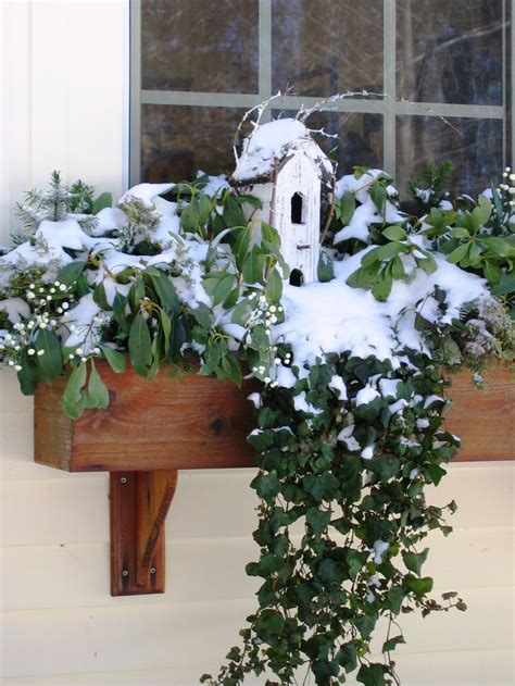 Window box flowers, Winter window boxes, Flower boxes