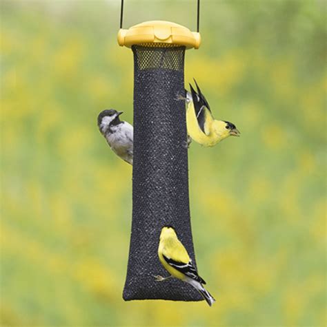 Choose the Best Nyjer Feeders to Attract Finches - Birds and Blooms