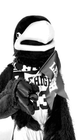 Black And White Mascot GIF by Lehigh University - Find & Share on GIPHY