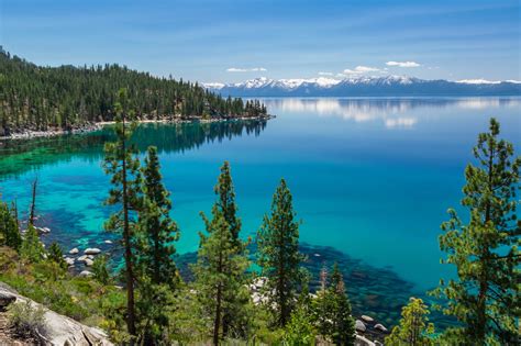 Lake Tahoe Fishing: The Complete Guide