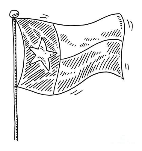 Texas Flag Drawing Drawing by Frank Ramspott