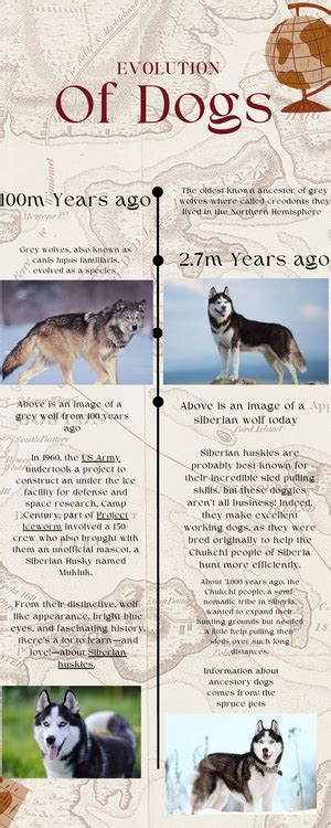 Canis Lupus Familiaris Evolution Timeline