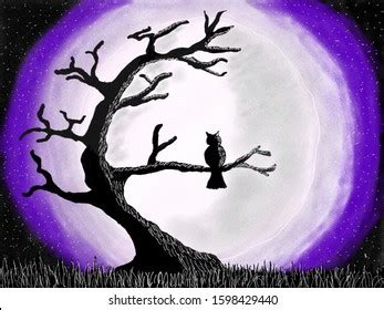 Lone Owl Silhouette Dark Night Forest Stock Illustration 1598429440 | Shutterstock