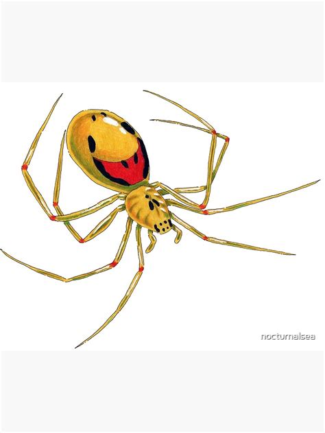 "Smiley Face Spider" Poster by nocturnalsea | Redbubble