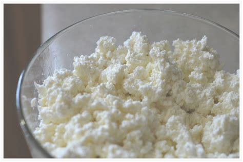 Preppers Cheese Simple to Make from Powdered Milk.Preparedness Advice