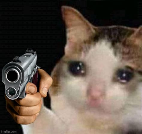 Sad cat pointing gun Blank Template - Imgflip