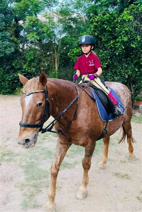 Kids Lessons | Wattle Creek Equestrian Centre