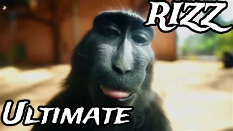 How to rizz (monkey style)🐒 - YouTube