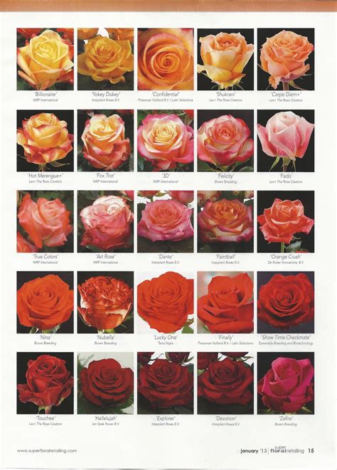 flower classroom: 2013 New Rose Varieties, published in Super Floral ...