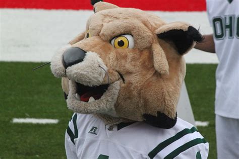 The Ohio University mascot....Rufus the Bobcat | I liked Ruf… | Flickr