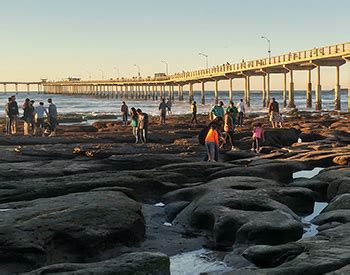 Hopetaft: Ocean Beach Pier San Diego California