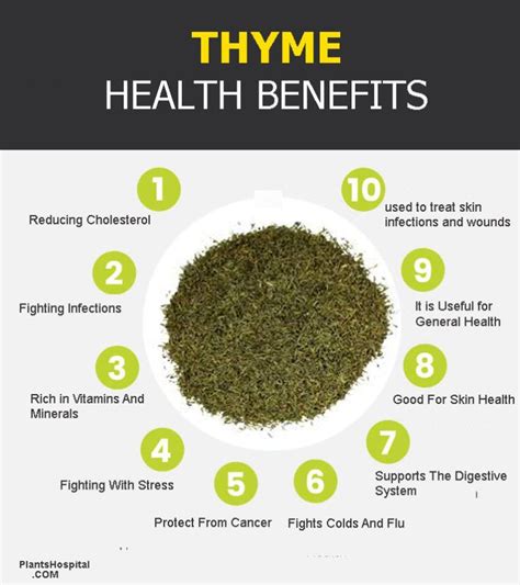 Thyme: Tea And Oil: Health Benefits, Uses, Side Effects and Warning ...