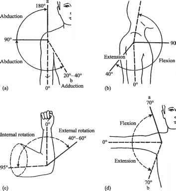 Joint Rom Chart - Head Circumference - GUWS Medical