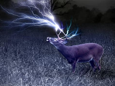 Deer Hunting Backgrounds - Wallpaper Cave