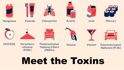 types-of-toxins - Austin Texas Functional Medicine and Nutrition