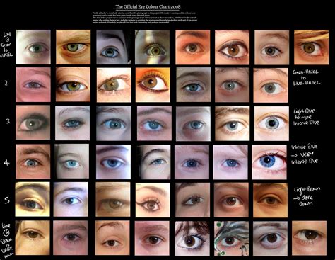 eye colour chart by https://www.deviantart.com/delpigeon on @DeviantArt | Eye color chart, Eye ...