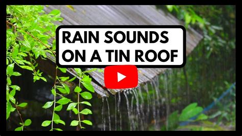 RAIN SOUNDS FOR SLEEPING ON A TIN ROOF 1 HOUR | ASMR RAIN SOUNDS | - YouTube