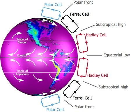 Convection Cell Definition, Currents & Causes | Study.com