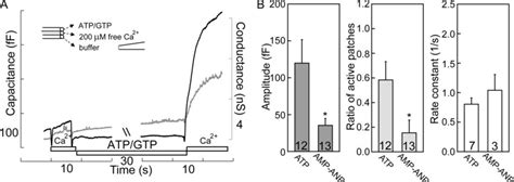 ATP hydrolysis is required for supporting non-SG fusion. (A) Without ...