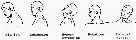 Flexion Extension Hyper-extension Rotation Lateral flexion | Physical therapy student, Hand ...