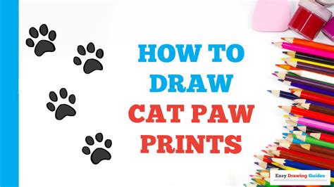 How To Draw A Paw Print Cat? Update - Bmxracingthailand.com