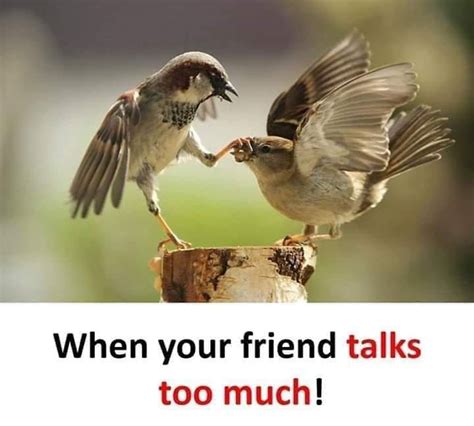 Funny Quotes About Talking Too Much - ShortQuotes.cc