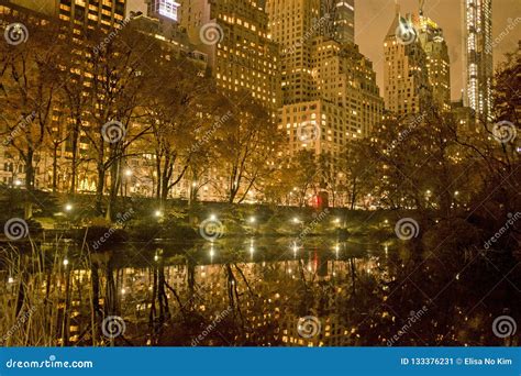 Central park at night editorial photo. Image of trees - 133376231