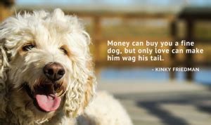 100 of the Best Dog Quotes - Puppy Leaks