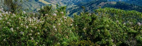 Best Pousadas in Campos do Jordao | Hotels.com