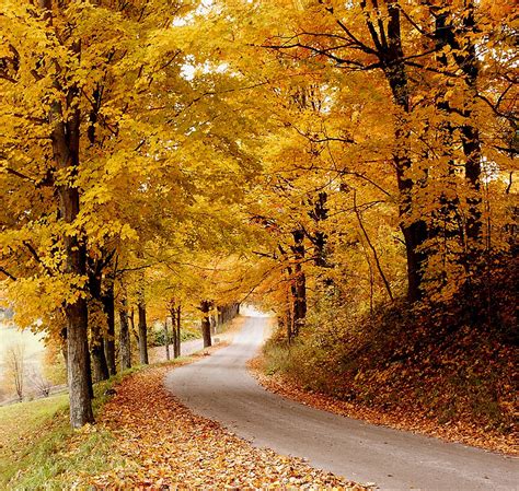 Prettiest Fall Foliage Villages in Vermont - New England Today