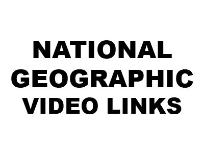 National Geographic Logo Transparent