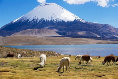 10 Most Beautiful National Parks in Chile – Touropia Travel