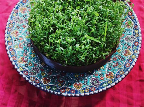 Turmeric & Saffron: Happy Nowruz 2019! Persian New Year Traditions and Haft Seen Photos