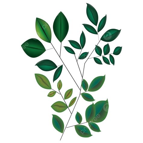 Green Leaf Plants Vector, Leaf Plants, Green, Plant PNG and Vector with Transparent Background ...