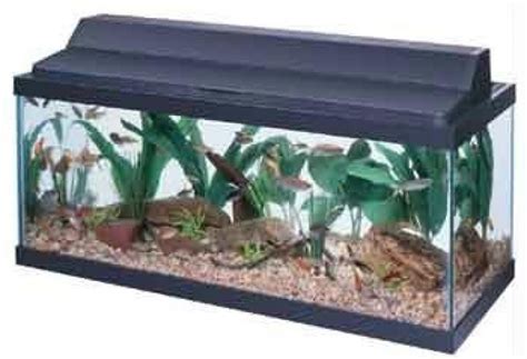 All Glass Aquarium AAG21230 Fluorescent Deluxe Hood, 30-Inch – Pets ...