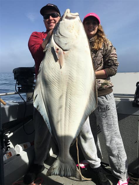 Puget Sound Halibut Opening May 20 With Every-other-day Fishing