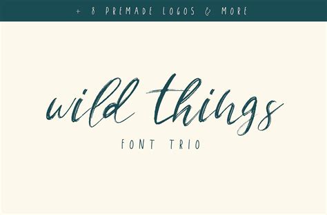 Wild Things Font Trio + Extras | Stunning Script Fonts ~ Creative Market