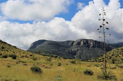 _MG_5415, Huachuca Mountains, Arizona, Sep 16 by Redleg76 - VIEWBUG.com