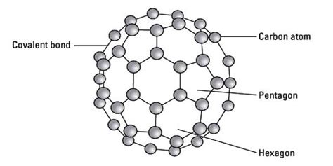 Fullerene - an allotrope of carbon - Assignment Point