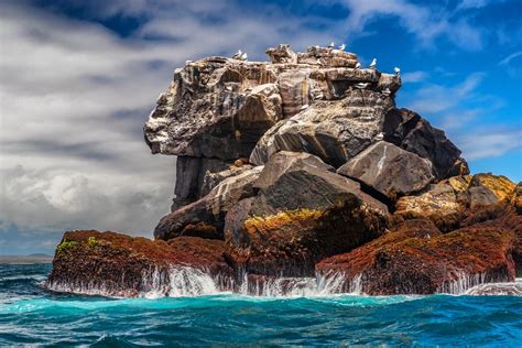 Best Time of Year to Visit the Galápagos Islands | kimkim