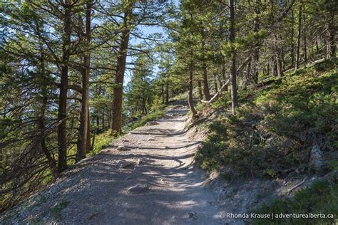 Tunnel Mountain Hike- Guide to Hiking Tunnel Mountain Trail